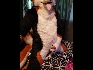 Murrsuiter Cumming in Slow Motion from Humping his Paws
