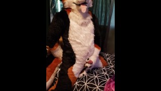 Murrsuiter cumming in slow motion from humping his paws