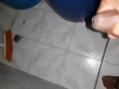 En busca de una Dama. Ven