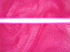 Not Safe for Wallets (NSFW) - FINDOM FINANCIAL DOMINATION FEMDOM TEASE AND DENIAL GOONING JOI