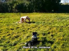 VOST engl - Training barre d'écartement 1.