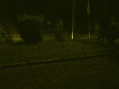 In order for a bitch to listen, she needs to be trained hard.