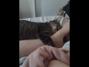 Preview 2 of Pussy Cat Cuddling With Sexy Legs and Feet