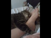 Preview 5 of Pussy Cat Cuddling With Sexy Legs and Feet