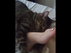 Cute Kitten Cuddling With Pretty Feet