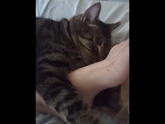 Cute Kitten Cuddling With Pretty Feet