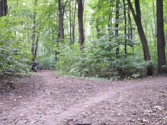 4K Just riding in the park🚲🎥🌳🪵