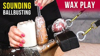 Urethral Sounding With Ballbusting And Wax Play Femdom Era