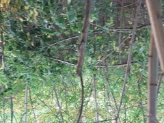 She licks my unshaven pussy in piss - Lesbian_illusion