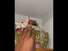 ASMR tapping long nails - Screenshot 6 of 16 - Long Nails