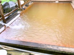 日本の温泉で一緒にエッチな事しましょうね - Screenshot 4 of 16 - 主演映像