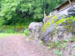 貴方って凄いのね、とってもエッチ - Screenshot 1 of 16 - 60fps