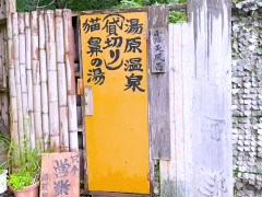 貴方って凄いのね、とってもエッチ - Screenshot 2 of 16 - リアル