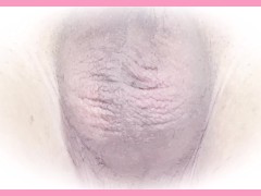 【睡眠用】金玉の観察動画【ASMR】耐久動画 - Screenshot 14 of 16 - Music