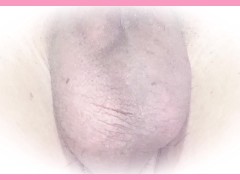 【睡眠用】金玉の観察動画【ASMR】耐久動画 - Screenshot 16 of 16 - Asmr