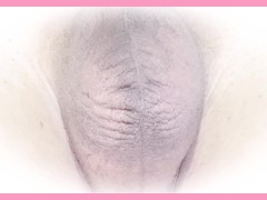 【睡眠用】金玉の観察動画【ASMR】耐久動画 - Screenshot 4 of 16 - Music