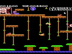 Let's Play Donkey Kong Jr.