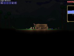 TERRARIA #2- First night and talking with undead