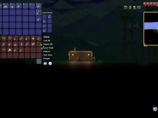 TERRARIA #2- first Night and Talking with Undead