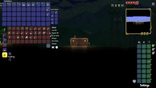 TERRARIA #2- First night and talking with undead