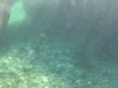 Голая киска под водой на море - Screenshot 2 of 16 - Petite