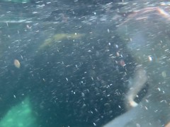Голая киска под водой на море - Screenshot 3 of 16 - Public
