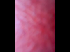 Big booty and sloppy head 6/16