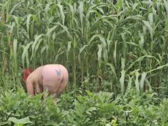 GILFJai picking peppers in the garden