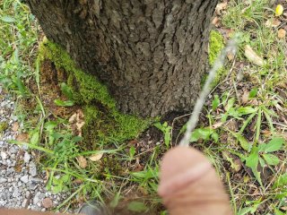 pissing on a tree
