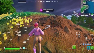 Геймплей Fortnite (бомбардировщик без штанов)