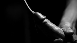 УТРЕННИЙ КАМШОТ