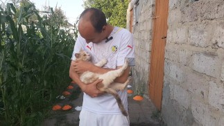 Мы с кошкой Мальвиной играем в бочку