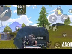 Chicken dinner with a laggy device or not ?