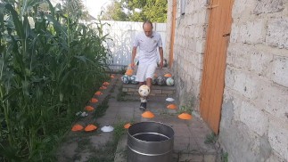 Испорченные яйца