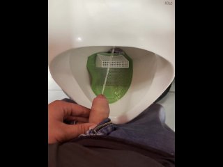 bear, 60fps, urinal, pissing in public