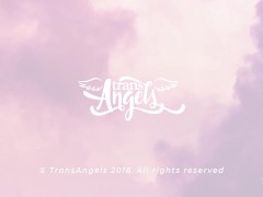 Grilling & Drilling / TransAngels - Screenshot 15 of 16 - Blowjob