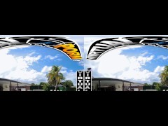 VIRTUAL PORN - Doggystyle VR Compilation Part TWO: Reyna DeLaCruz, Bailey Base, Kimmy Kimm And More!