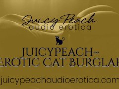 JuicyPeach~Erotic Cat Burglar: She's only here for your pleasure.