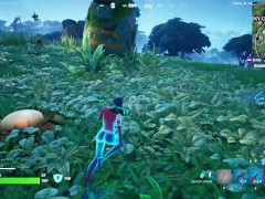 Fortnite gameplay (krisabelle skirtless)