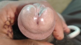 德西印度公鸡