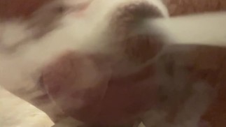 Мутная струя на моем члене