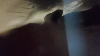 Un homme géant sous la douche vous stomps! (aperçu. Vidéo complète dans mon OF bientôt !)