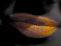 Black And White Video With Orange Lipstick And Smoking