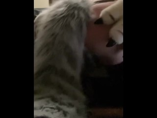 Волк Косплей Короткометражка