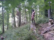 Preview 1 of Standing pissing in a woods in a bunny mask and fishnet