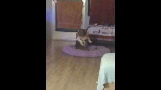 My Doggy Knows How To Get Down and Dance LOL