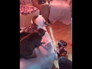 性感的纹身女孩和她的小猫一起玩