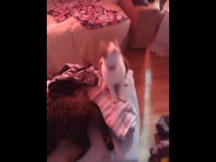 Girl playing with her kittens