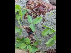 The Best Outdoors: Public Pee into River