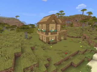 amateur, minecraft, wood, house